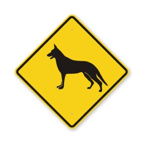 Dog Signs